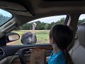 Kids_FossilRim_8-2016 (17)